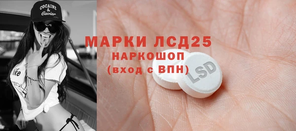 PSILOCYBIN Сосновый Бор